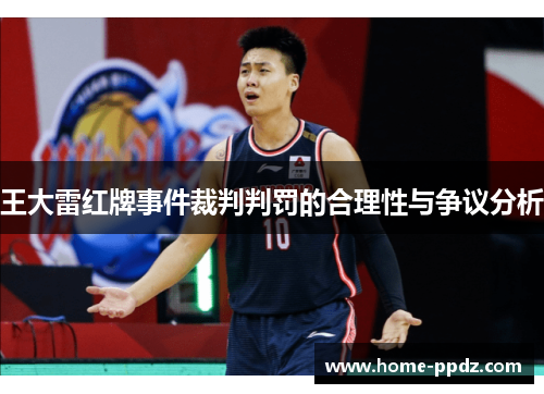 王大雷红牌事件裁判判罚的合理性与争议分析