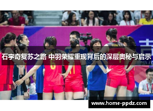 石宇奇复苏之路 中羽荣耀重现背后的深层奥秘与启示