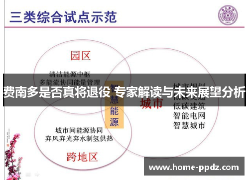 费南多是否真将退役 专家解读与未来展望分析