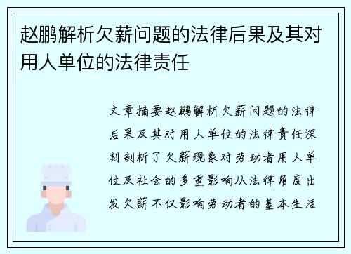 赵鹏解析欠薪问题的法律后果及其对用人单位的法律责任